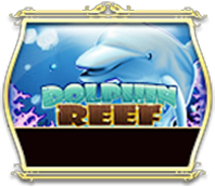 dolphinreef