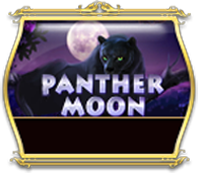 panthermoon